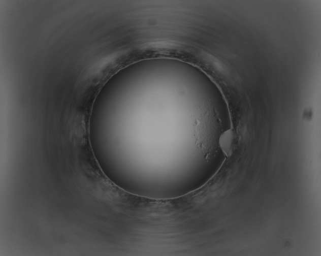 X0000093571062200710221438