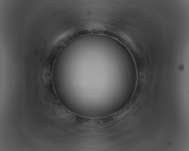 X0000093571063200710221438
