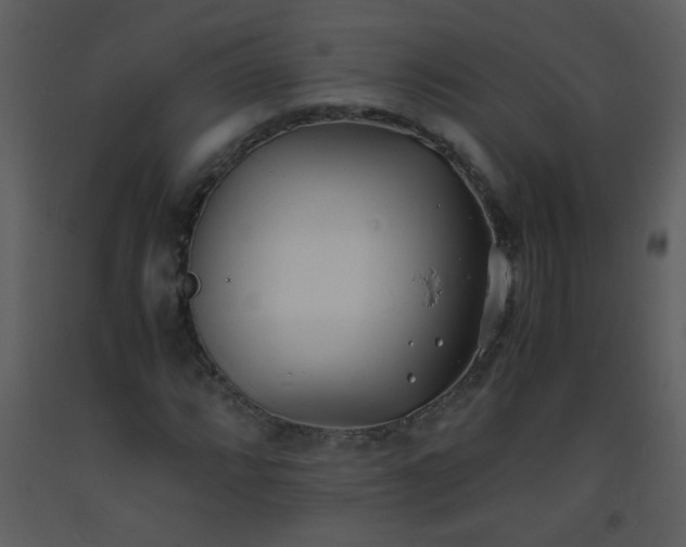 X0000093571064200710221438