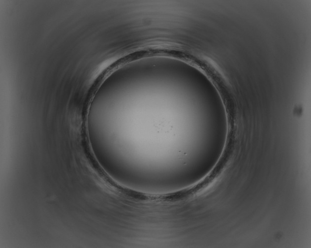 X0000093571065200710221438