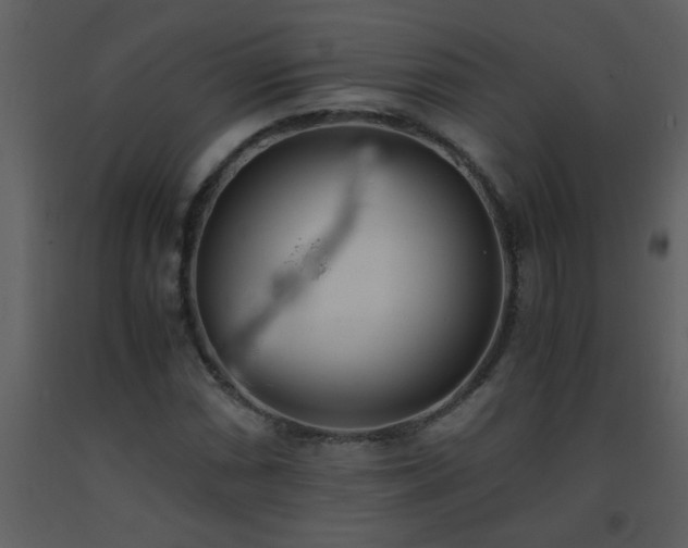 X0000093571066200710221438