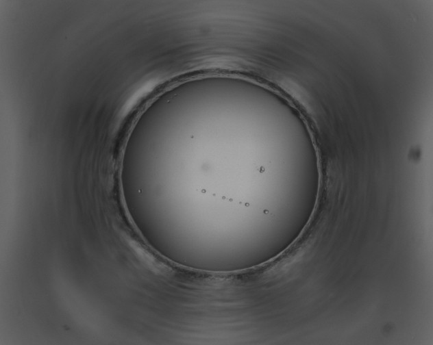 X0000093571067200710221438