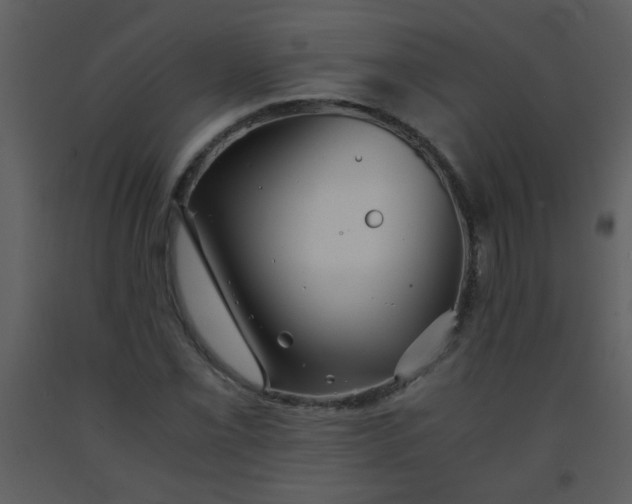 X0000093571069200710221438