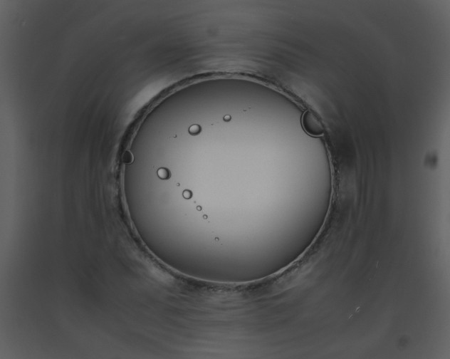 X0000093571071200710221438