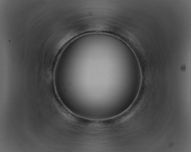 X0000093571073200710221438