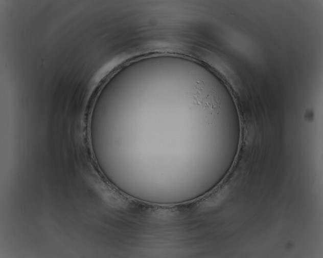 X0000093571074200710221438