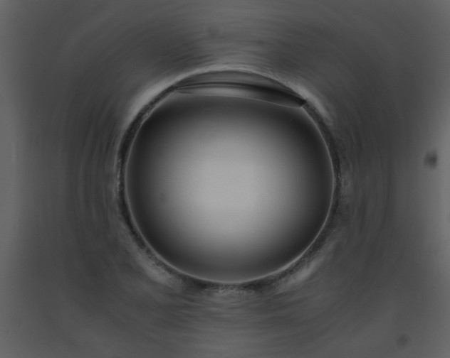 X0000093571077200710221438