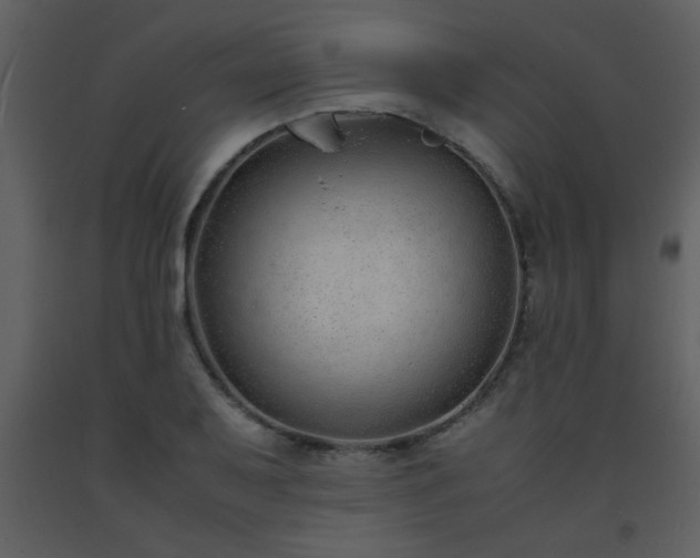 X0000093571079200710221438