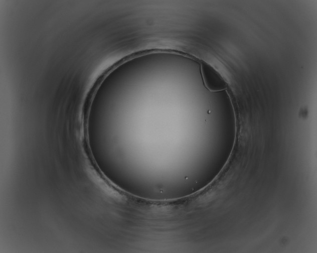 X0000093571080200710221438