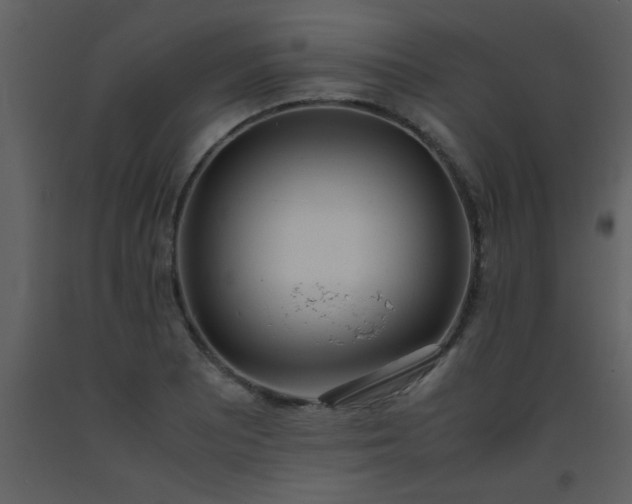 X0000093571081200710221438