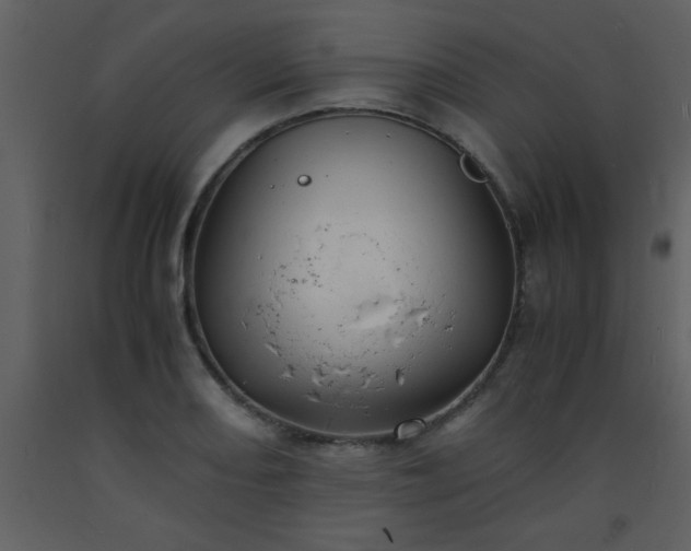 X0000093571082200710221438