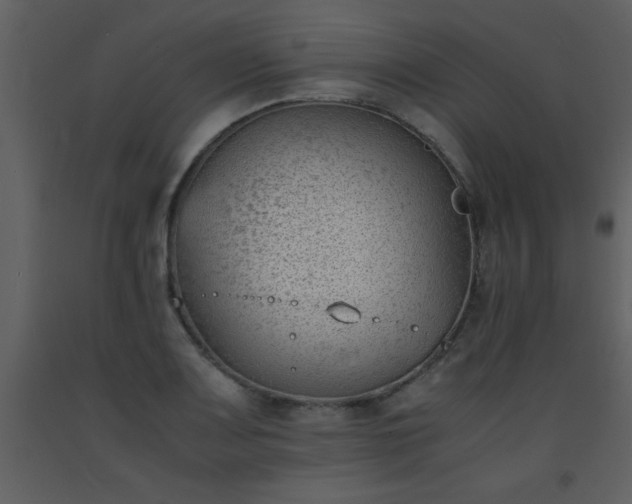 X0000093571083200710221438
