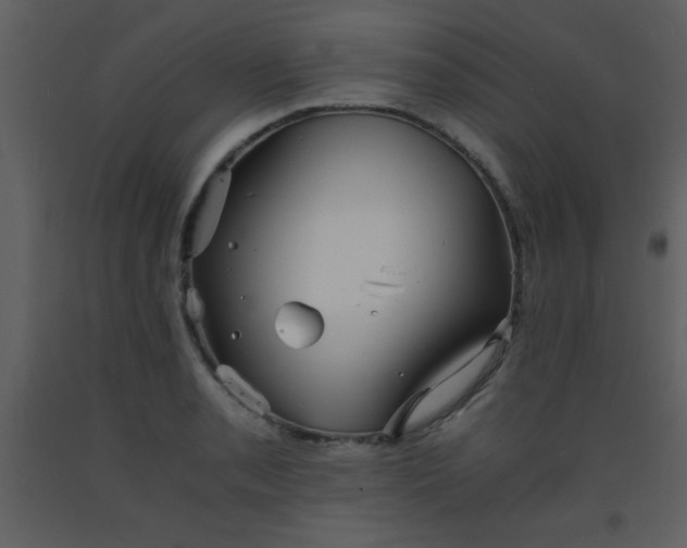 X0000093571085200710221438