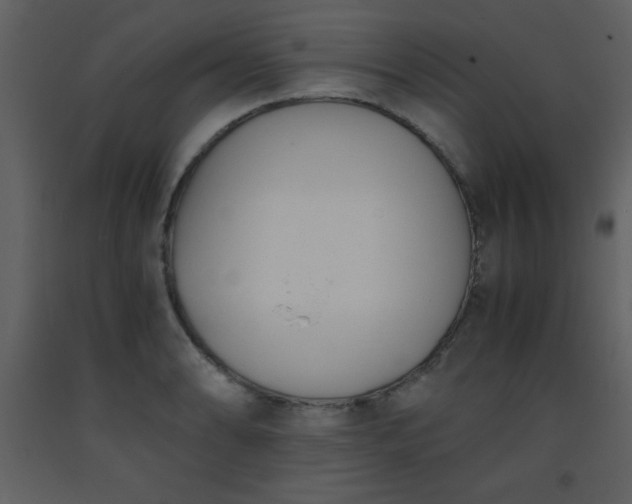 X0000093571086200710221438