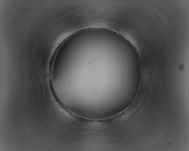 X0000093571088200710221438