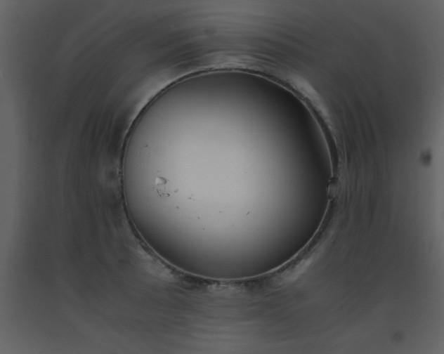 X0000093571089200710221438