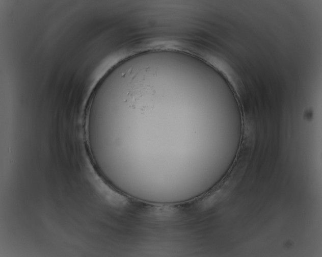 X0000093571090200710221438