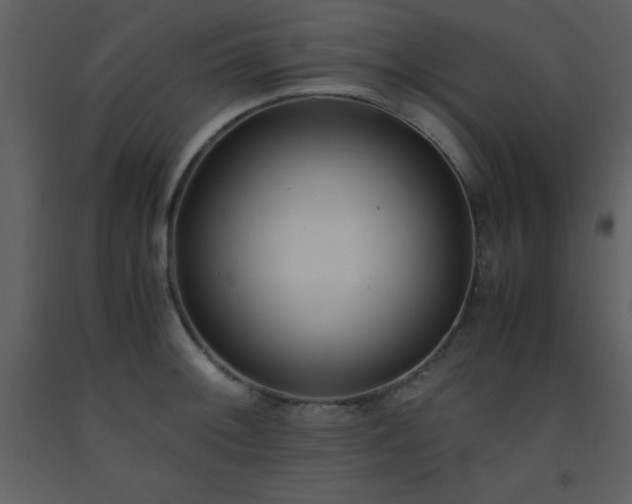 X0000093571092200710221438