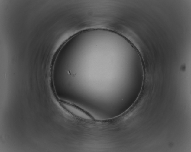 X0000093571093200710221438