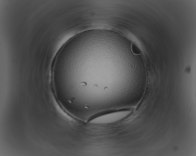 X0000093571095200710221438