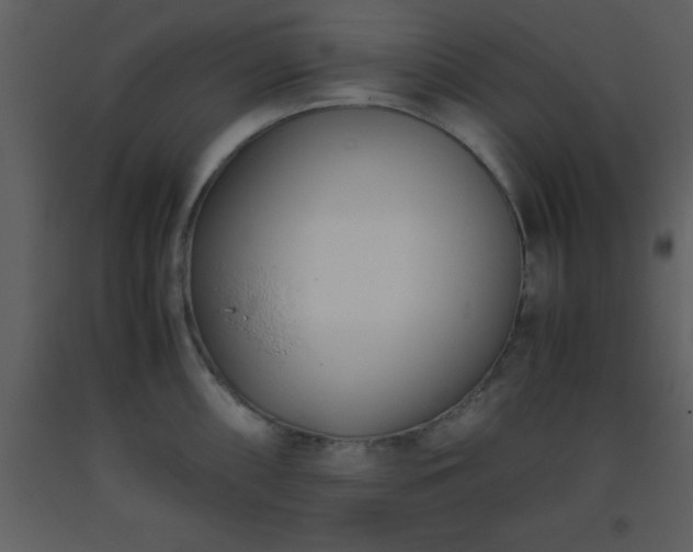 X0000093571098200710221438