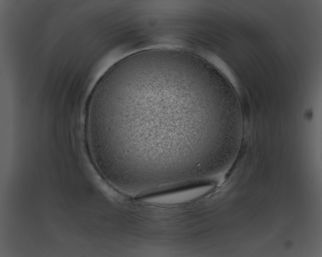 X0000093571099200710221438