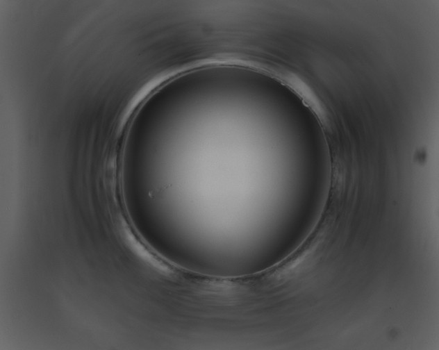 X0000093571100200710221438