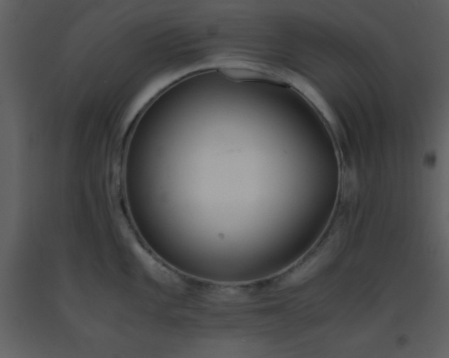 X0000093571101200710221438