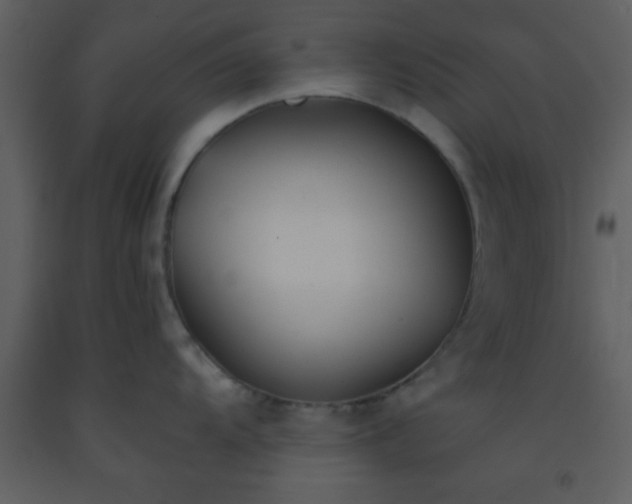 X0000093571104200710221438