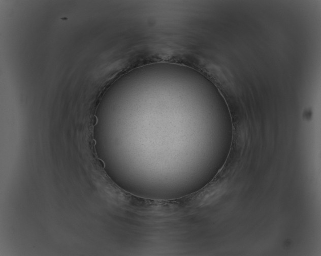 X0000093571105200710221437