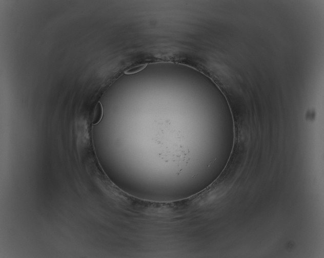 X0000093571106200710221437