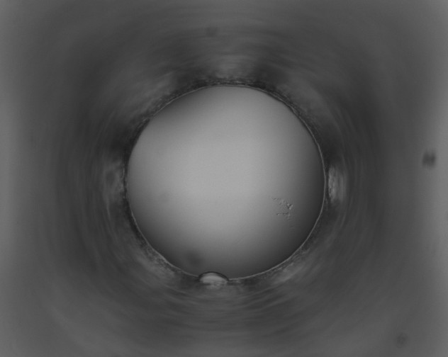 X0000093571107200710221437