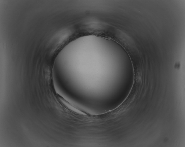 X0000093571108200710221437