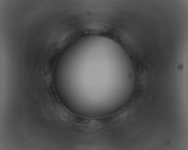 X0000093571109200710221437