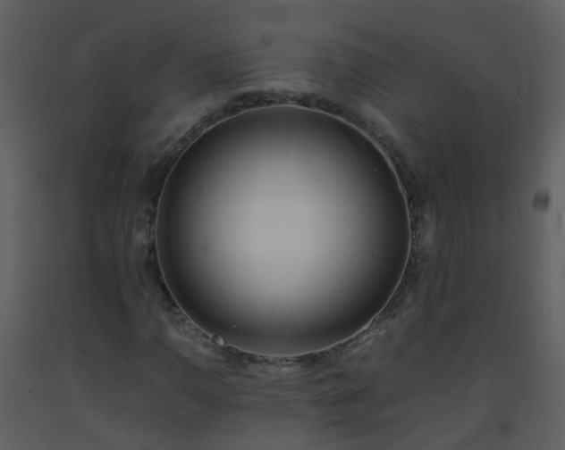 X0000093571110200710221437