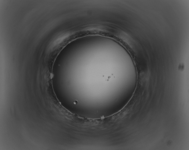 X0000093571111200710221437