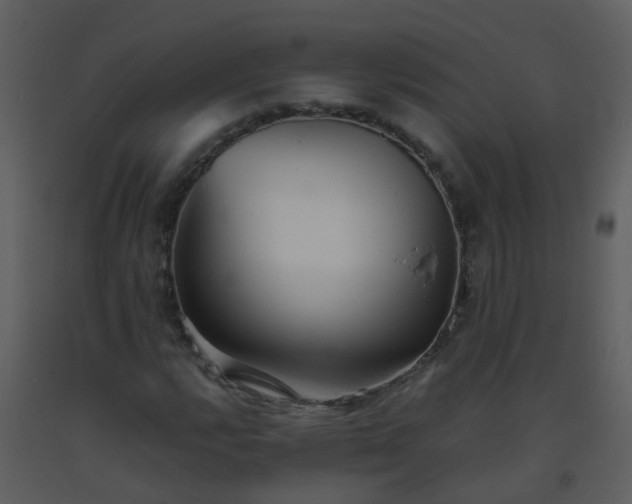 X0000093571112200710221437