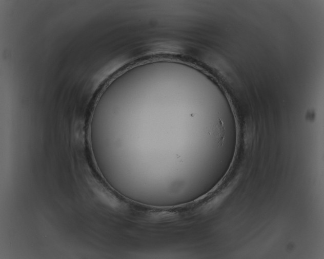 X0000093571113200710221437