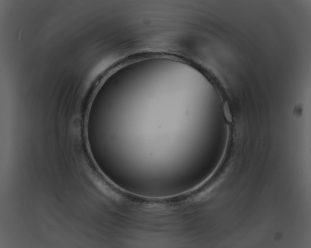 X0000093571114200710221437