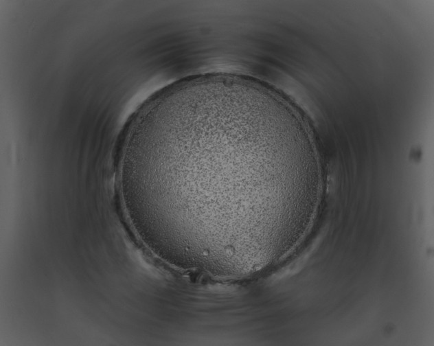 X0000093571117200710221437
