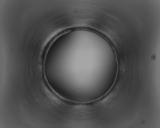 X0000093571118200710221437
