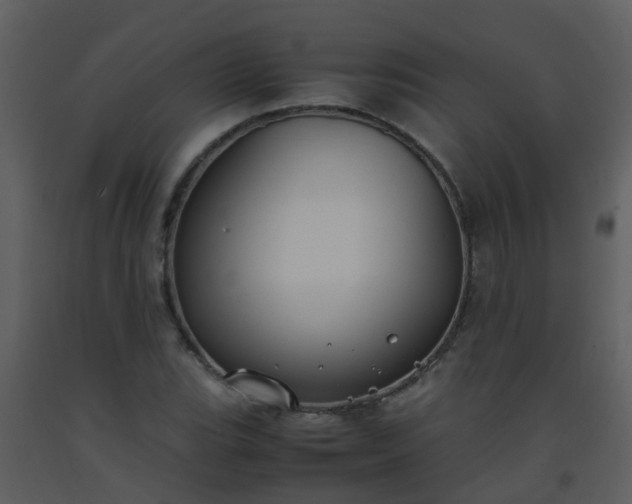 X0000093571119200710221437