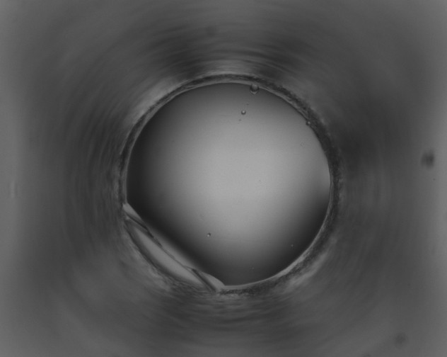 X0000093571121200710221437