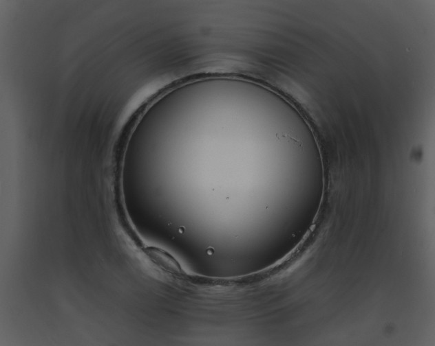 X0000093571122200710221437