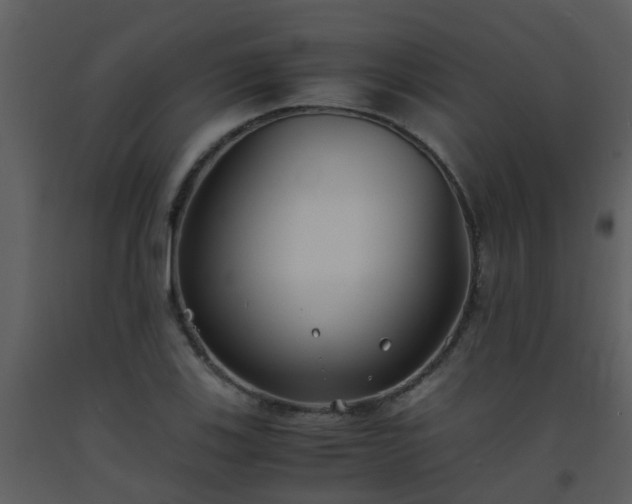 X0000093571123200710221437