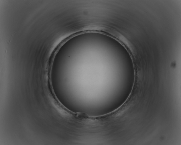 X0000093571124200710221437
