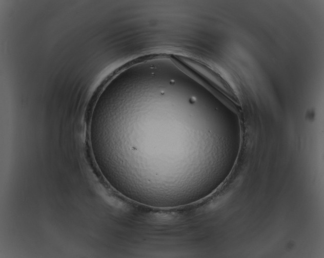 X0000093571125200710221437