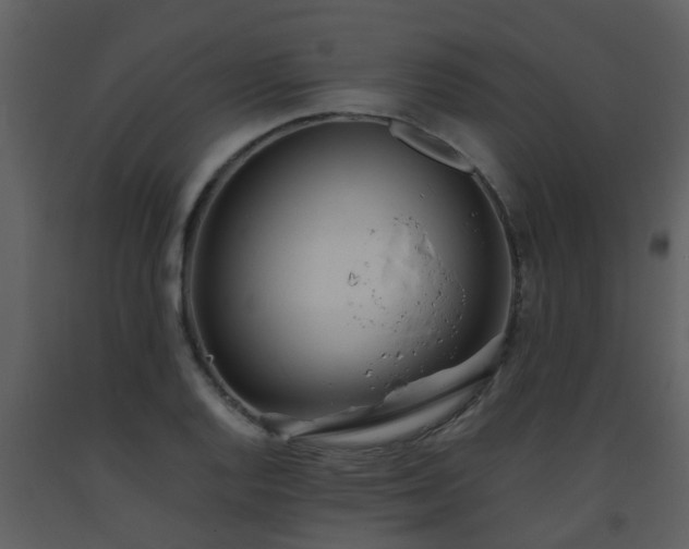 X0000093571128200710221437