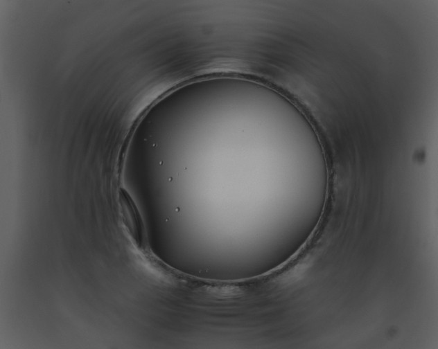 X0000093571129200710221437