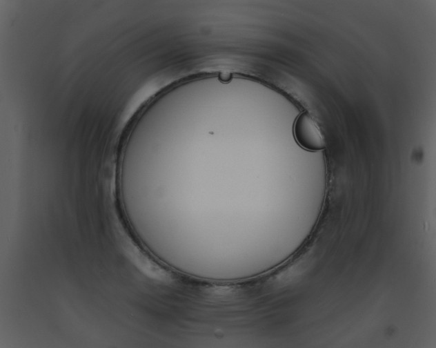 X0000093571130200710221437